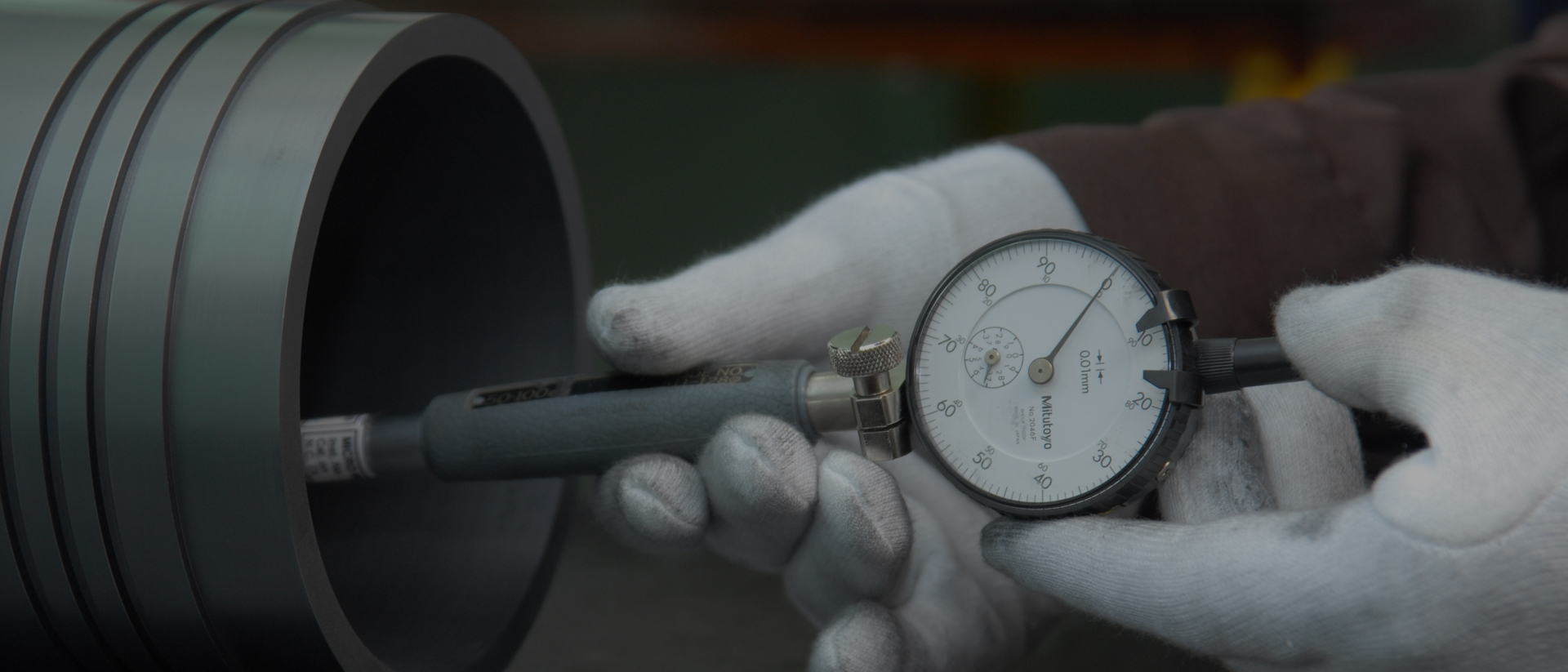 The Progressive Education Society's  